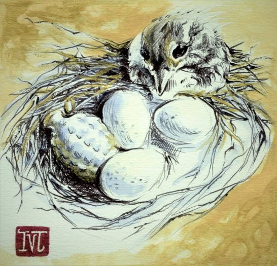 Die Gewinner des Wettbewerbs: The Cuckoo's Egg (Bild: Ivana)